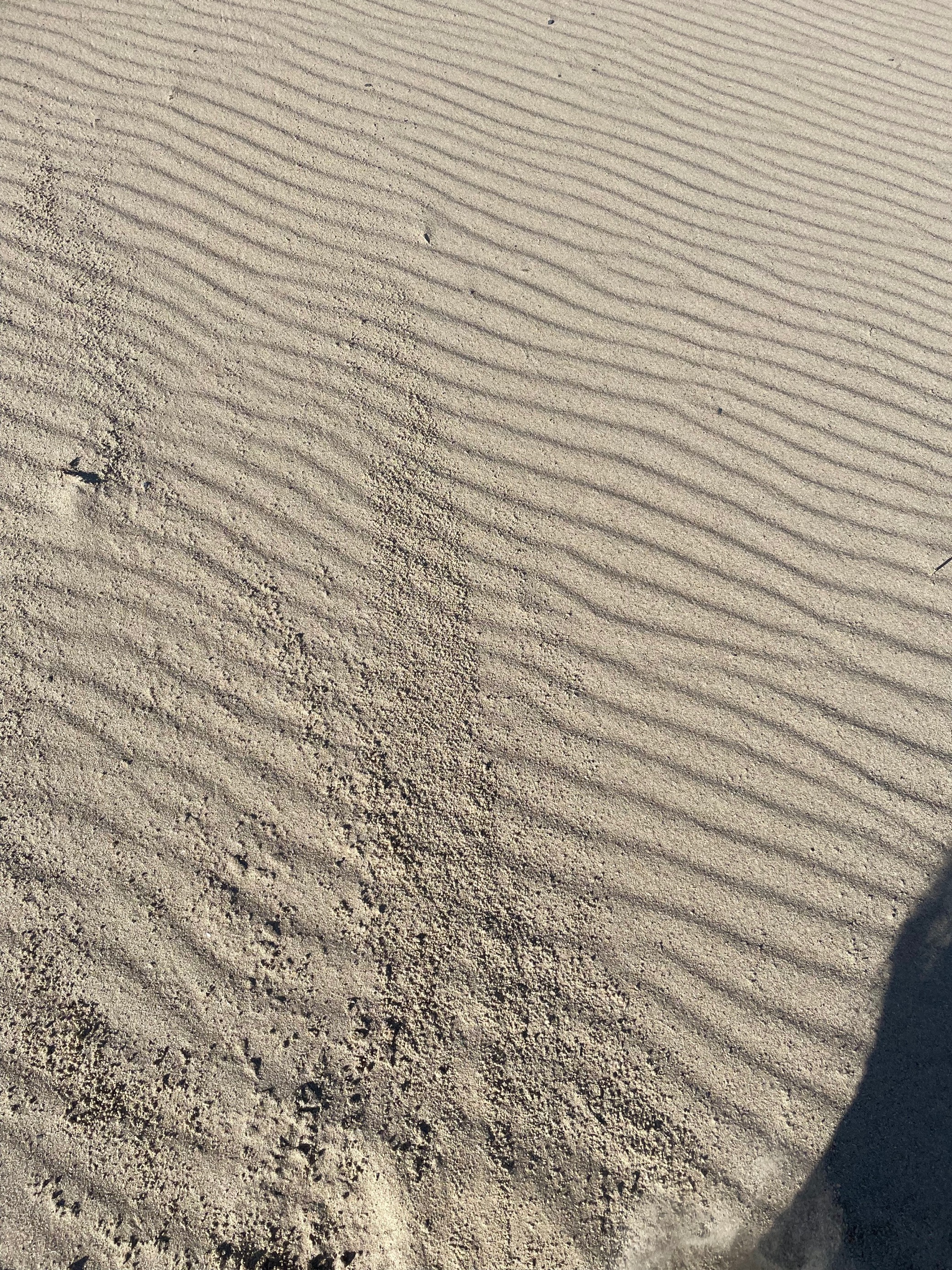 Sand